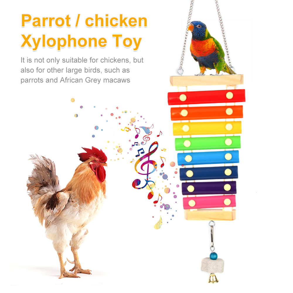 Bird Chicken Xylophone Toy Woo - Musical Instrument Harmonium review and price