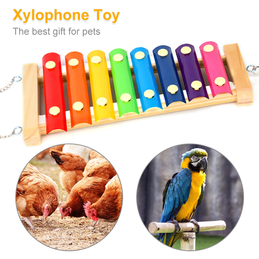 Bird Chicken Xylophone Toy Woo - Musical Instrument Harmonium review and price