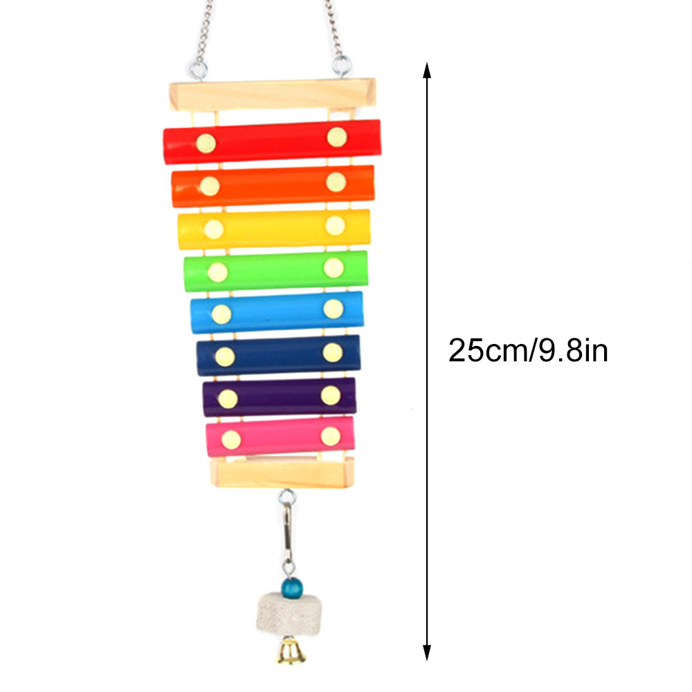 Bird Chicken Xylophone Toy Woo - Musical Instrument Harmonium review and price