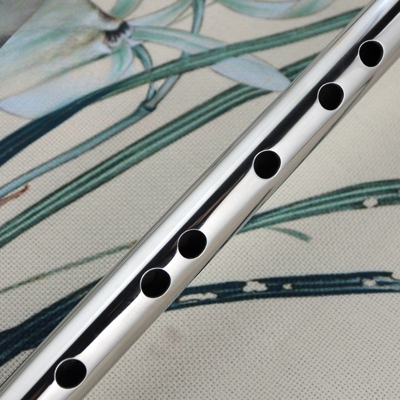 Stainless Steel Flute Professi - Musical Instrument Fife review and price