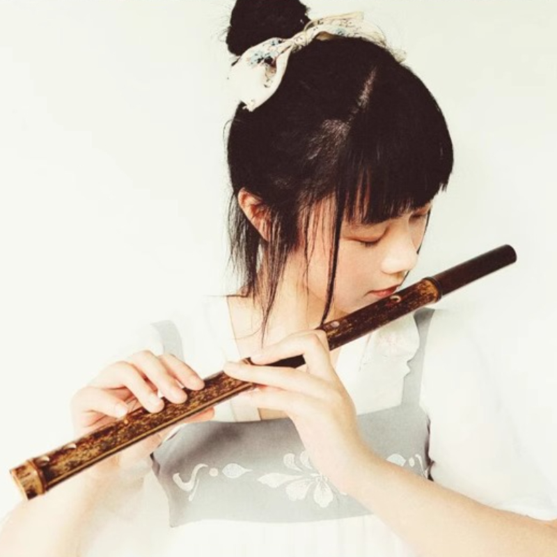Purple Bamboo Flute Profession - Musical Instrument Fife review and price