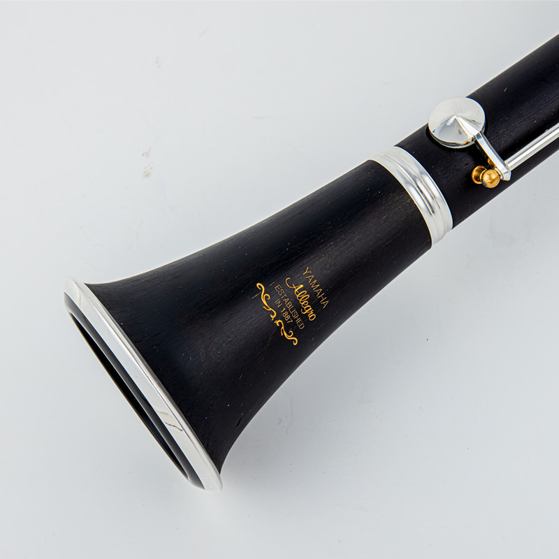 Japan Brand New Professional W - Musical Instrument Japan review and price