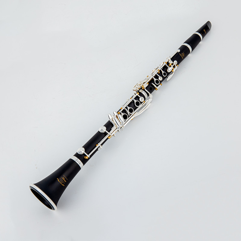 Japan Brand New Professional W - Musical Instrument Japan review and price