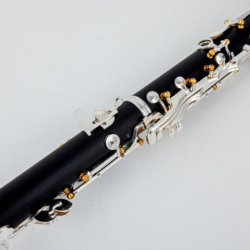 Japan Brand New Professional W - Musical Instrument Japan review and price